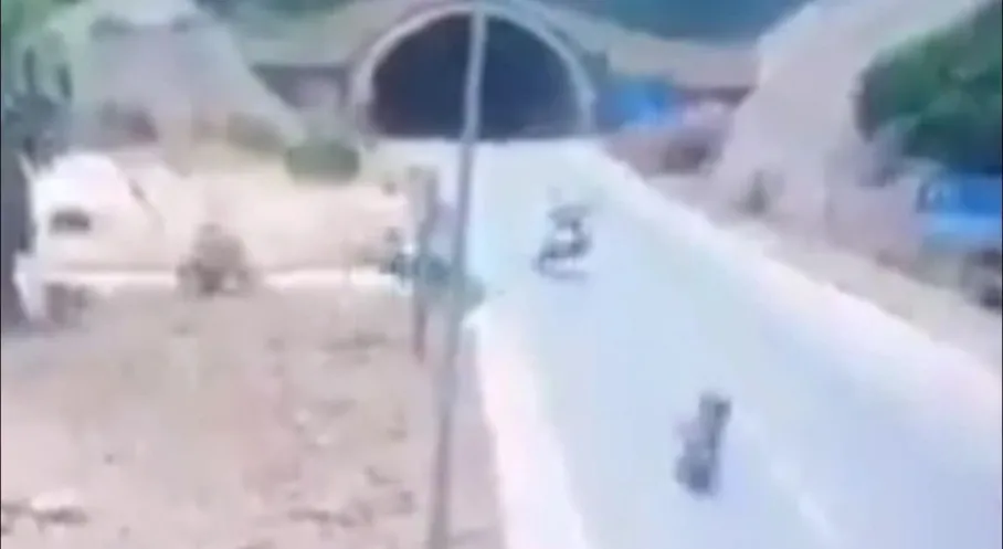 Antalya'da Bayram Acısı: Hatalı Dönüş ve Aşırı Hız Faciası! Bakan Yerlikaya'dan Uyarı