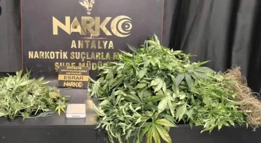 Antalya'da Uyuşturucu Operasyonu: 113 Zehir Taciri Yakalandı!