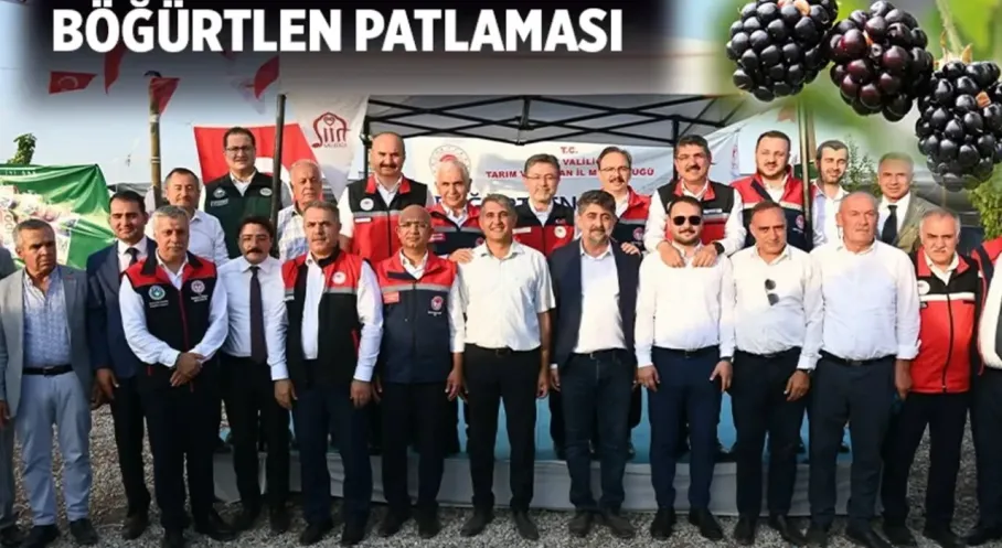 Batman Böğürtlen Üretiminde Bursa'yı Solladı! Rekor İhracatla Gündemde