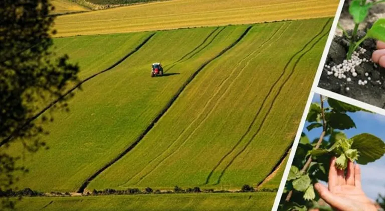 Çiftçiye Milyarlarca Liralık Destek! Bakanlık Hesaplara Yatırıyor (Konya-BHA)
