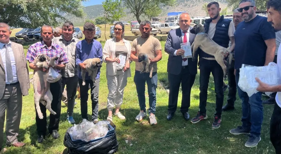 Isparta'da Kurt Saldırılarına Çoban Köpeği Çözümü: Türkiye'de Bir İlk!