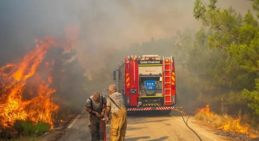İzmir Ormanları İçin Devrim! Yangınlara Karşı Acil Eylem Planı