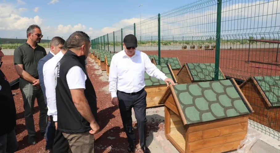 Kars'ta Sahipsiz Canlar İçin Müjde! Doğal Yaşam Alanı Kuruluyor