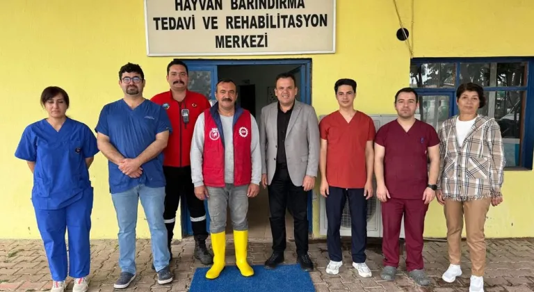 Kemer Belediyesi'nden Çağrı: Sokak Hayvanlarını Sahiplenin!