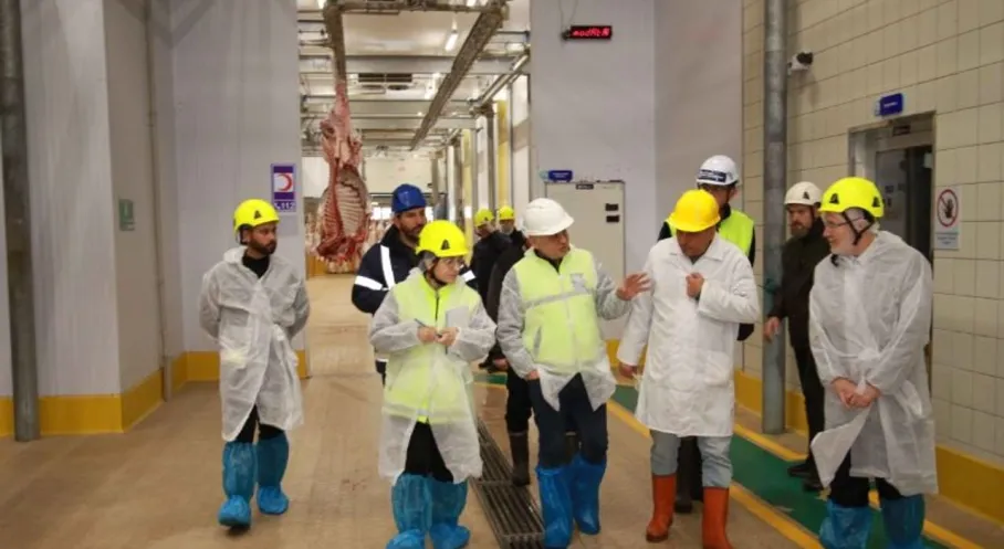 Kocaeli'de Et Güvenliği Tescillendi! TSE'den Büyükşehir Mezbahasına Tam Not