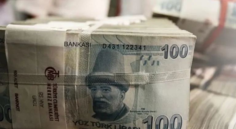 Merkezi Bütçeler Resmi Gazete'de Yayımlandı ve Bütçe Detayları Ortaya Çıktı