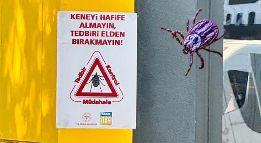 Sincan'da Kene Alarmı! Bakanlık Uyardı, Afişler Sokaklarda!