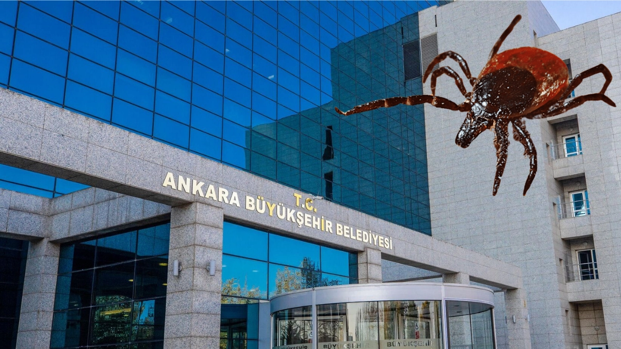 İlgili Haber