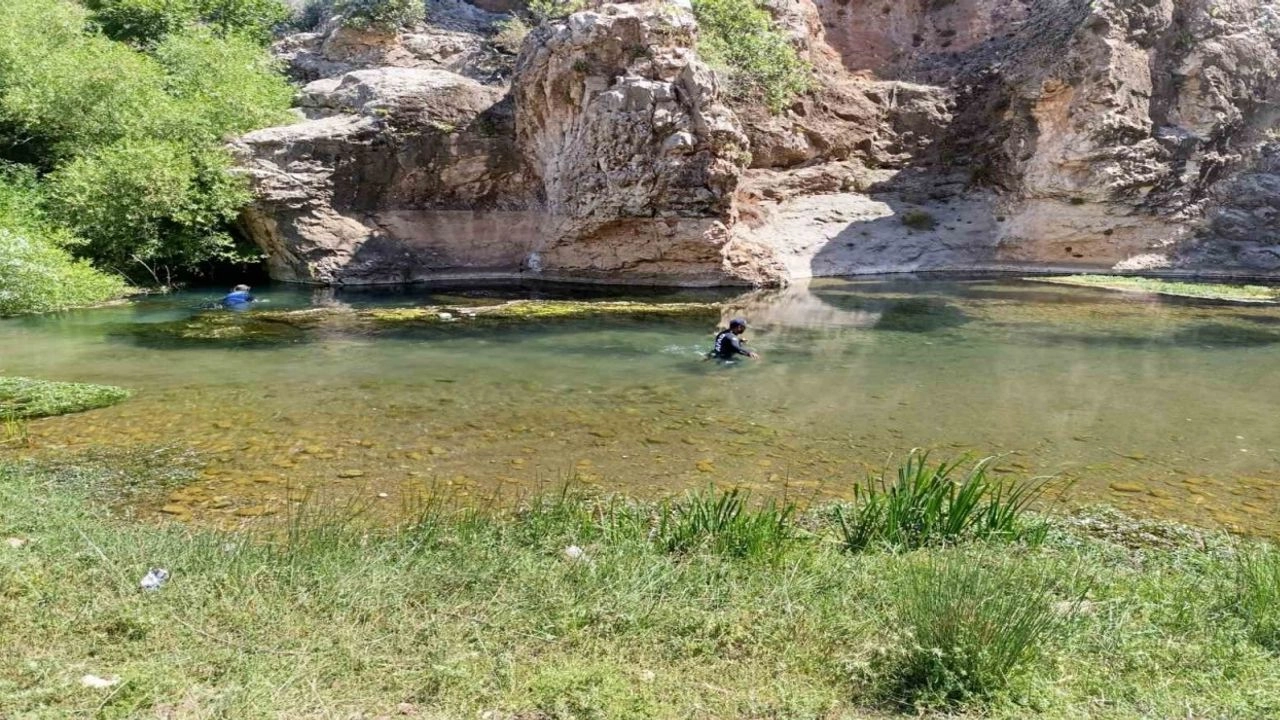 Benzer Haber