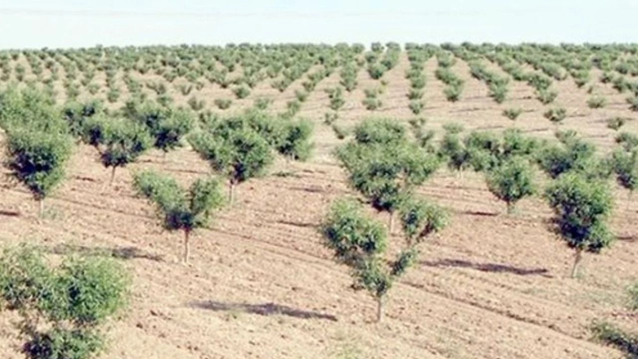 İlgili Haber