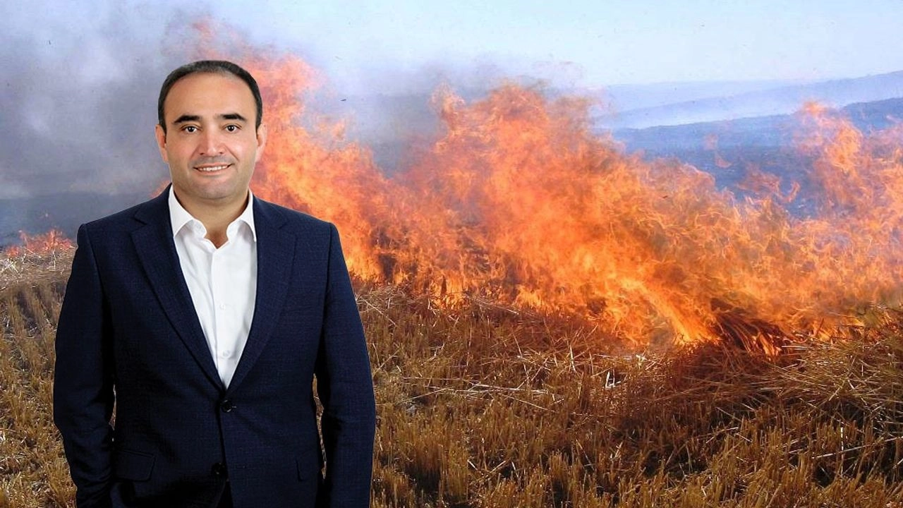 Benzer Haber