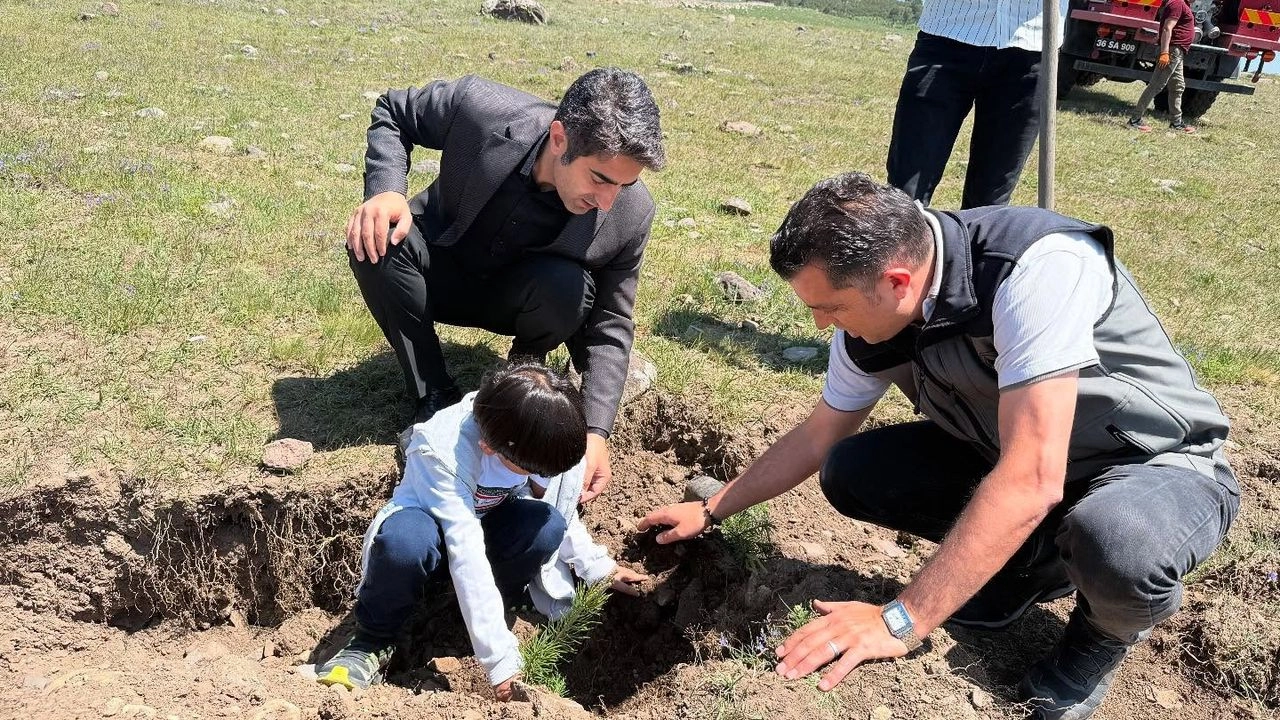 Benzer Haber