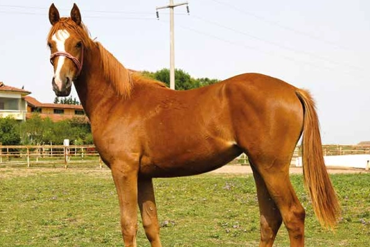 İlgili Haber