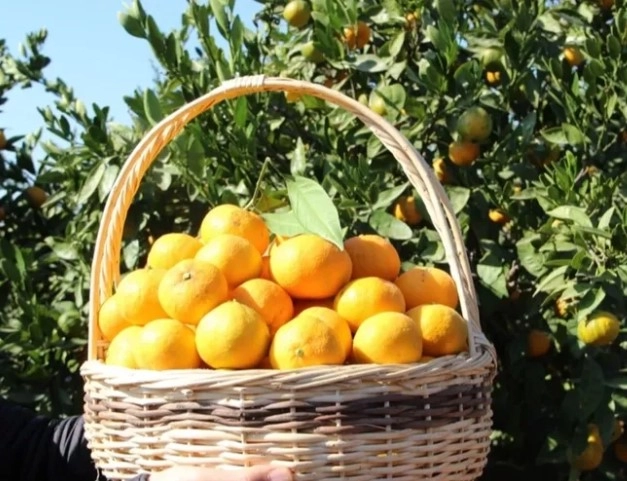 İlgili Haber