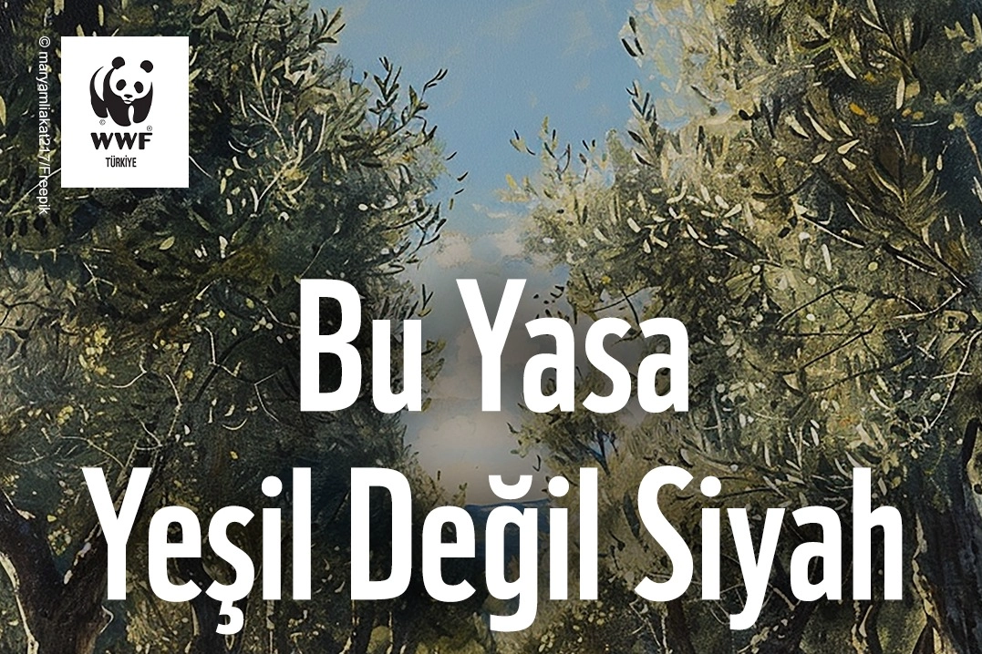 Benzer Haber